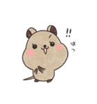クオッカのクオちゃん（個別スタンプ：4）