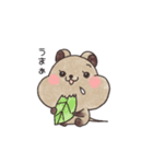 クオッカのクオちゃん（個別スタンプ：15）