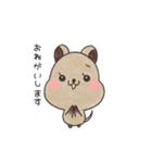 クオッカのクオちゃん（個別スタンプ：20）
