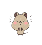 クオッカのクオちゃん（個別スタンプ：31）