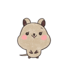 クオッカのクオちゃん（個別スタンプ：39）