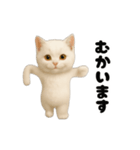 毎日動く★ネコさん！（白）（個別スタンプ：16）