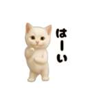 毎日動く★ネコさん！（白）（個別スタンプ：19）
