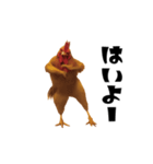 THEトリ（個別スタンプ：2）