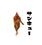 THEトリ（個別スタンプ：8）