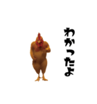 THEトリ（個別スタンプ：16）