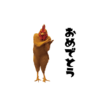 THEトリ（個別スタンプ：21）