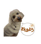うちの親子いっぬ（個別スタンプ：2）