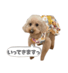 うちの親子いっぬ（個別スタンプ：14）