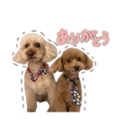 うちの親子いっぬ（個別スタンプ：18）