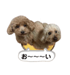 うちの親子いっぬ（個別スタンプ：24）