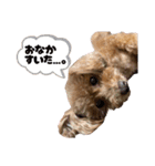 うちの親子いっぬ（個別スタンプ：33）