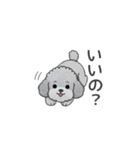 フランクな会話のトイプードル（感情多め）（個別スタンプ：3）