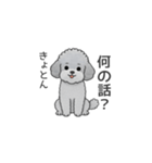 フランクな会話のトイプードル（感情多め）（個別スタンプ：4）