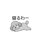 フランクな会話のトイプードル（感情多め）（個別スタンプ：5）