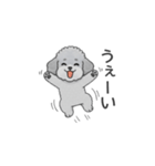 フランクな会話のトイプードル（感情多め）（個別スタンプ：6）