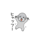 フランクな会話のトイプードル（感情多め）（個別スタンプ：9）