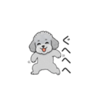 フランクな会話のトイプードル（感情多め）（個別スタンプ：10）