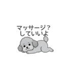 フランクな会話のトイプードル（感情多め）（個別スタンプ：14）