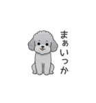 フランクな会話のトイプードル（感情多め）（個別スタンプ：15）