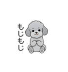 フランクな会話のトイプードル（感情多め）（個別スタンプ：17）