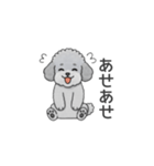 フランクな会話のトイプードル（感情多め）（個別スタンプ：19）