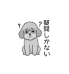 フランクな会話のトイプードル（感情多め）（個別スタンプ：21）
