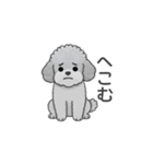 フランクな会話のトイプードル（感情多め）（個別スタンプ：22）