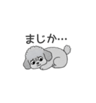 フランクな会話のトイプードル（感情多め）（個別スタンプ：23）