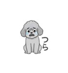 フランクな会話のトイプードル（感情多め）（個別スタンプ：24）