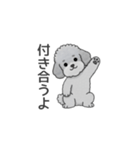 フランクな会話のトイプードル（感情多め）（個別スタンプ：26）