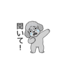 フランクな会話のトイプードル（感情多め）（個別スタンプ：27）