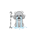 フランクな会話のトイプードル（感情多め）（個別スタンプ：32）