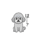 フランクな会話のトイプードル（感情多め）（個別スタンプ：33）