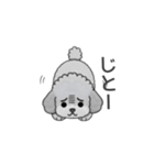 フランクな会話のトイプードル（感情多め）（個別スタンプ：35）