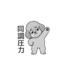 フランクな会話のトイプードル（感情多め）（個別スタンプ：37）