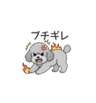 フランクな会話のトイプードル（感情多め）（個別スタンプ：38）