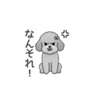 フランクな会話のトイプードル（感情多め）（個別スタンプ：39）