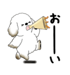 飛び出す犬さん 「よく使う言葉」（個別スタンプ：2）