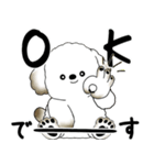 飛び出す犬さん 「よく使う言葉」（個別スタンプ：3）