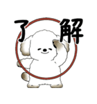 飛び出す犬さん 「よく使う言葉」（個別スタンプ：4）
