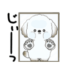 飛び出す犬さん 「よく使う言葉」（個別スタンプ：5）