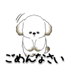 飛び出す犬さん 「よく使う言葉」（個別スタンプ：7）