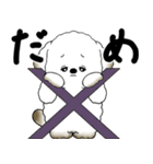 飛び出す犬さん 「よく使う言葉」（個別スタンプ：8）