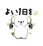 飛び出す犬さん 「よく使う言葉」（個別スタンプ：9）