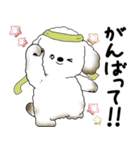 飛び出す犬さん 「よく使う言葉」（個別スタンプ：11）