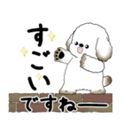 飛び出す犬さん 「よく使う言葉」（個別スタンプ：12）