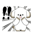 飛び出す犬さん 「よく使う言葉」（個別スタンプ：17）