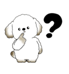 飛び出す犬さん 「よく使う言葉」（個別スタンプ：18）