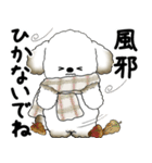 飛び出す犬さん 「よく使う言葉」（個別スタンプ：22）